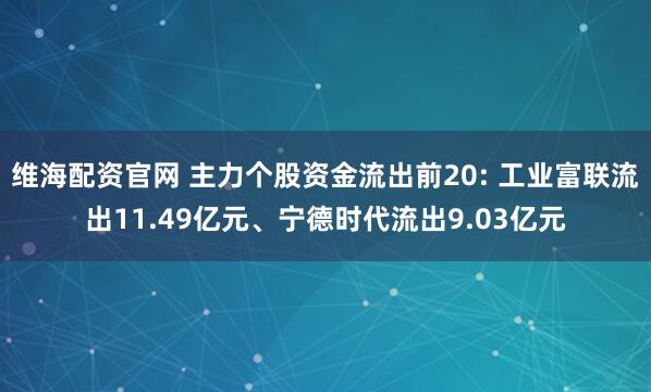 维海配资官网 主力个股资金流出前20: 工业富联流出11.49亿元、宁德时代流出9.03亿元